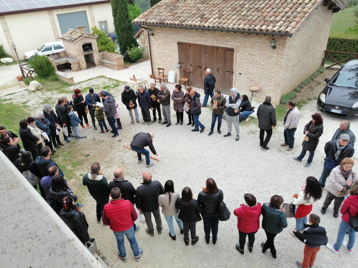 Agriturismo Alla Solagna Colli del Tronto Eksteriør bilde